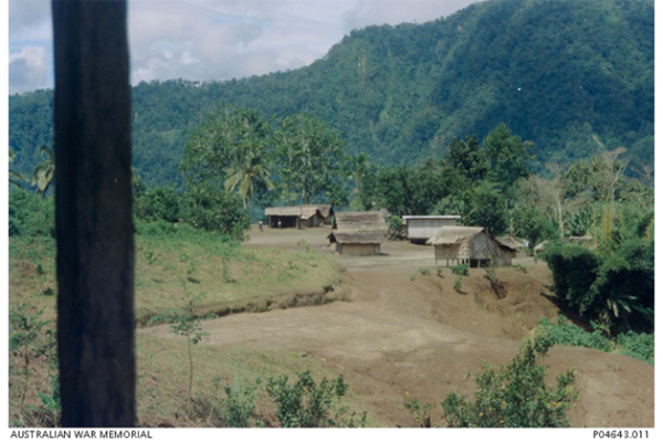 A village in Bogainville